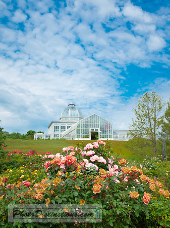 LEWIS GINTER-112-6-56