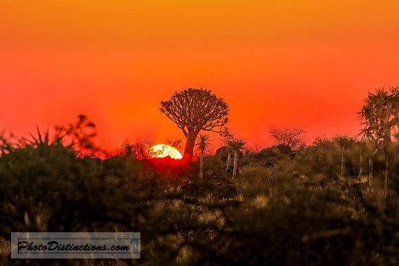 NAMIBIA-2