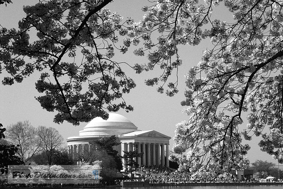IMG_1154 b & w_edited-1